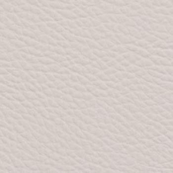 Бежевый Скин