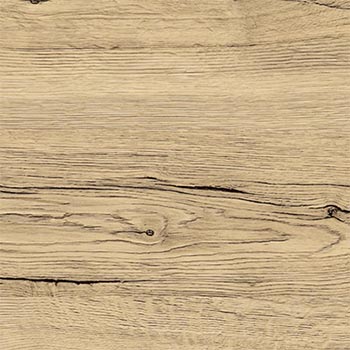 Дуб майский