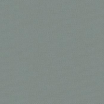 Нарцисс Нарцисс