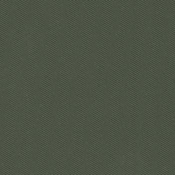 Оливково-зелёный Оливково-зелёный